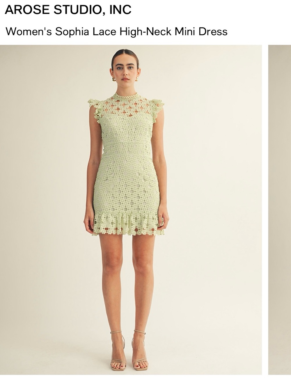 Arose Studio Sophia High-Neck Lace Mini Dress in Light Green
